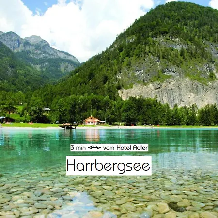 Adler 호텔 골링안데살자흐