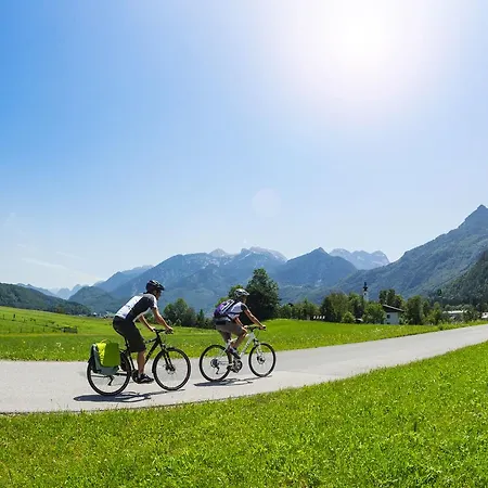 Adler Golling an der Salzach