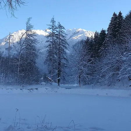 Adler Golling an der Salzach