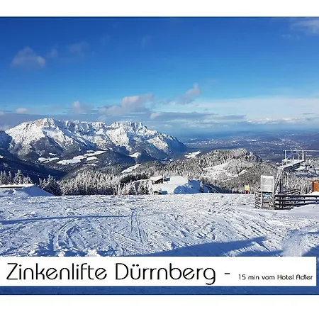 호텔 Adler 골링안데살자흐