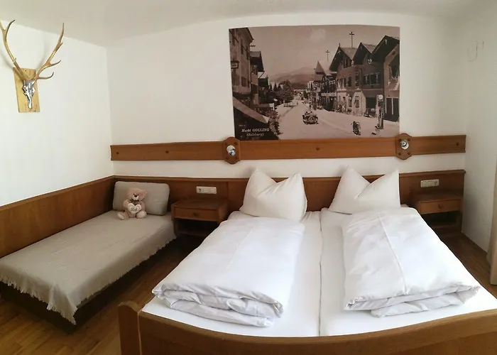 Adler Golling an der Salzach
